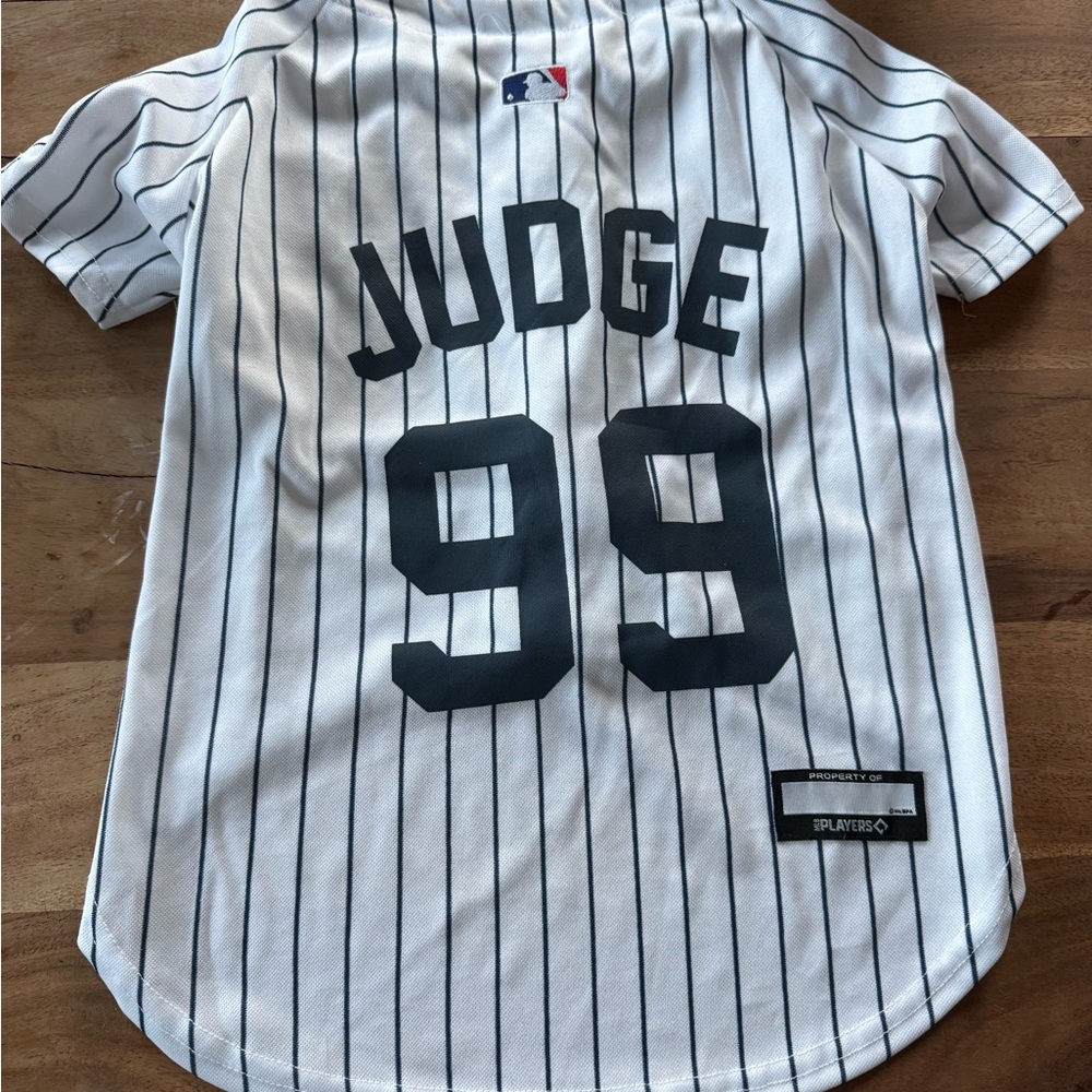 MLB yankees judge dog Jersey - White and navy